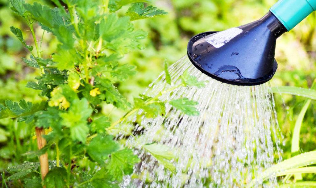 installer-un-récupérateur-d'eau-pluie-fassenet-matériaux