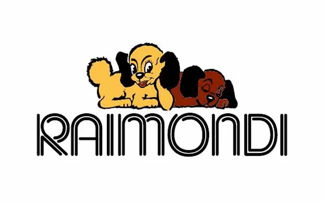 logo-raimondi