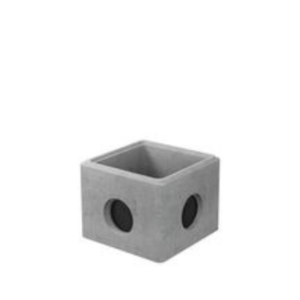 regard-deau-avec-opercules-33x33-cm